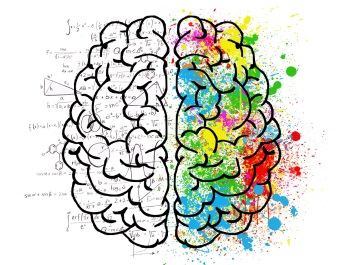 Qu’est-ce que l’intelligence ? Qu’est-ce que l’intelligence ?