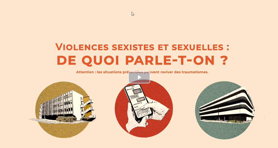 Vidéo de lutte contre les Violences Sexistes et Sexuelles