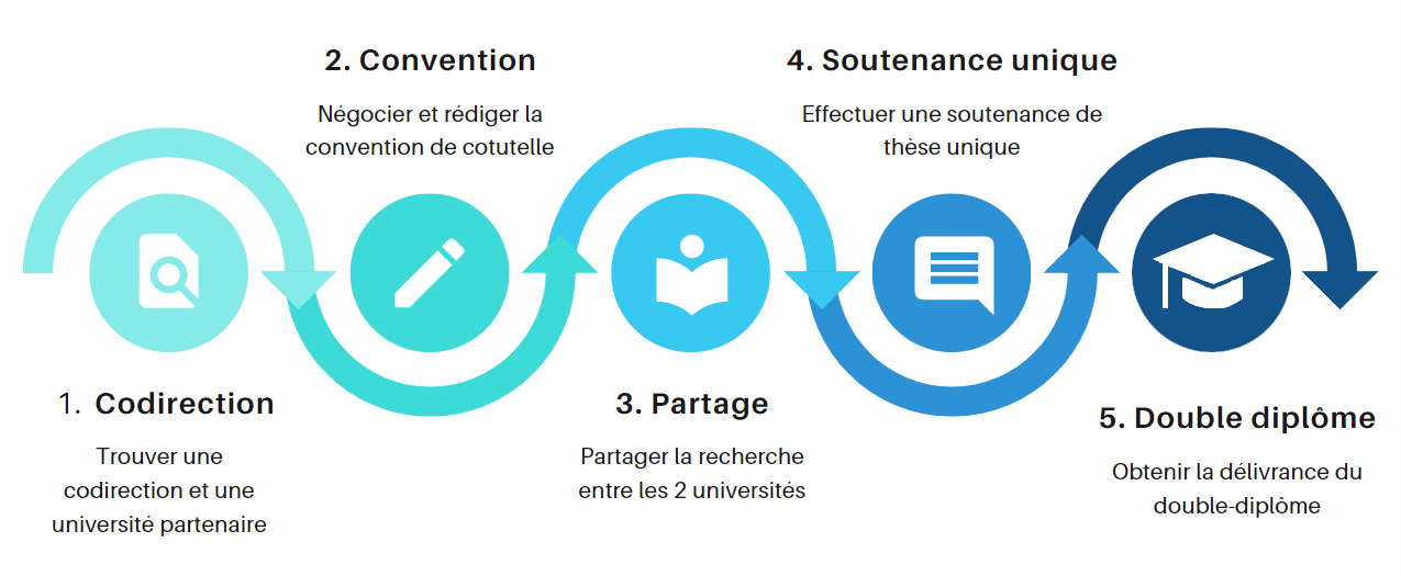 Les étapes de la cotulelle