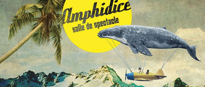 Lieu de culture : Amphidice